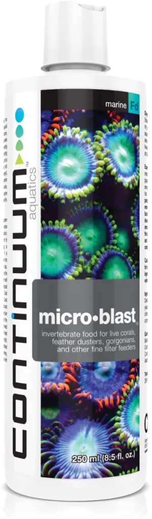 Continuum Micro-Blast