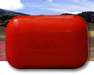 Soap Works Soap 85g-110g (15  Varieties)
